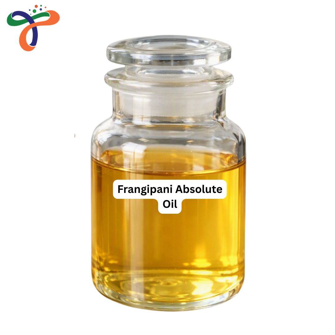 Frangipani Absolute Oil